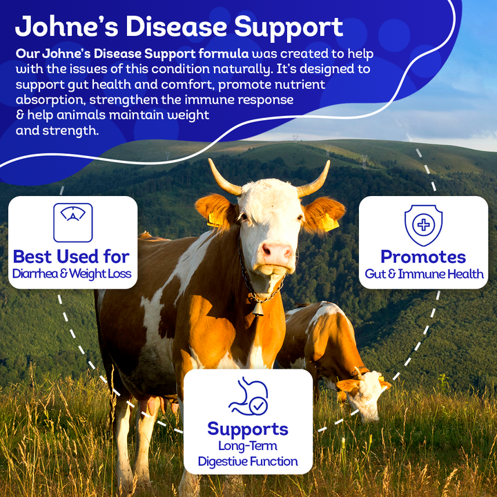 Johne’s Disease Support for Cattle - Digestive & Immune Supplement - Helpful for Diarrhea and Weight Loss - Safe, Gentle, Natural Formula - 300+ Tablets