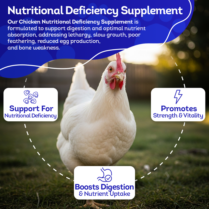 Chicken Nutritional Deficiency Supplement - Supports Balanced Nutrition & Health - Highly Effective, Natural Homeopathic Tablets - 300 Pellets