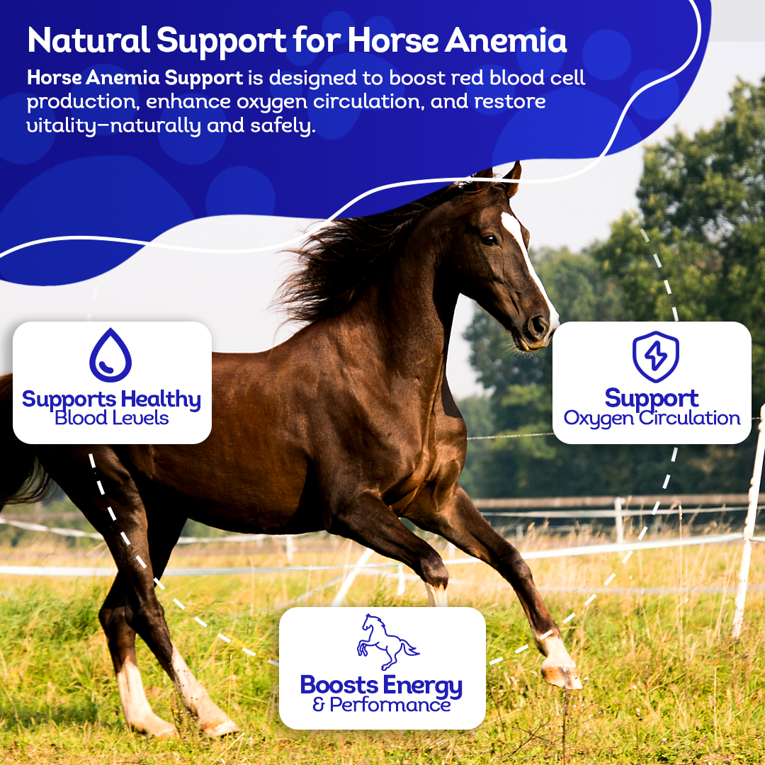 Horse Anemia Support