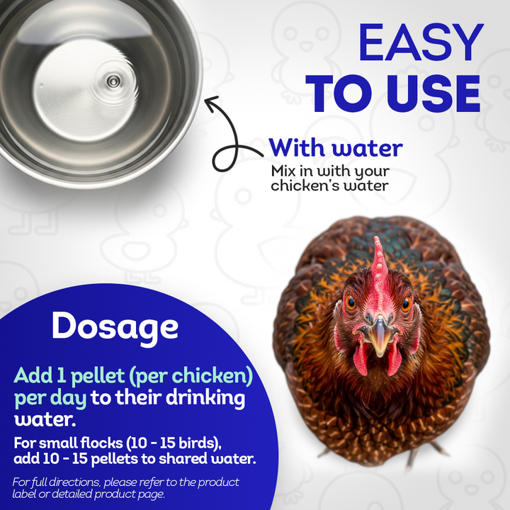 Chicken Respiratory Support Supplement - Effective Breathing Aid for Chickens - Highly Effective Homeopathic Formula - 300 Tablets