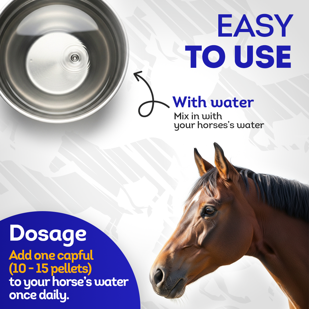 Horse Respiratory Issues Support - Helps Prevent Heaves, Allergies & Infections – Highly Effective, Natural Homeopathic Supplement - 300 Tablets