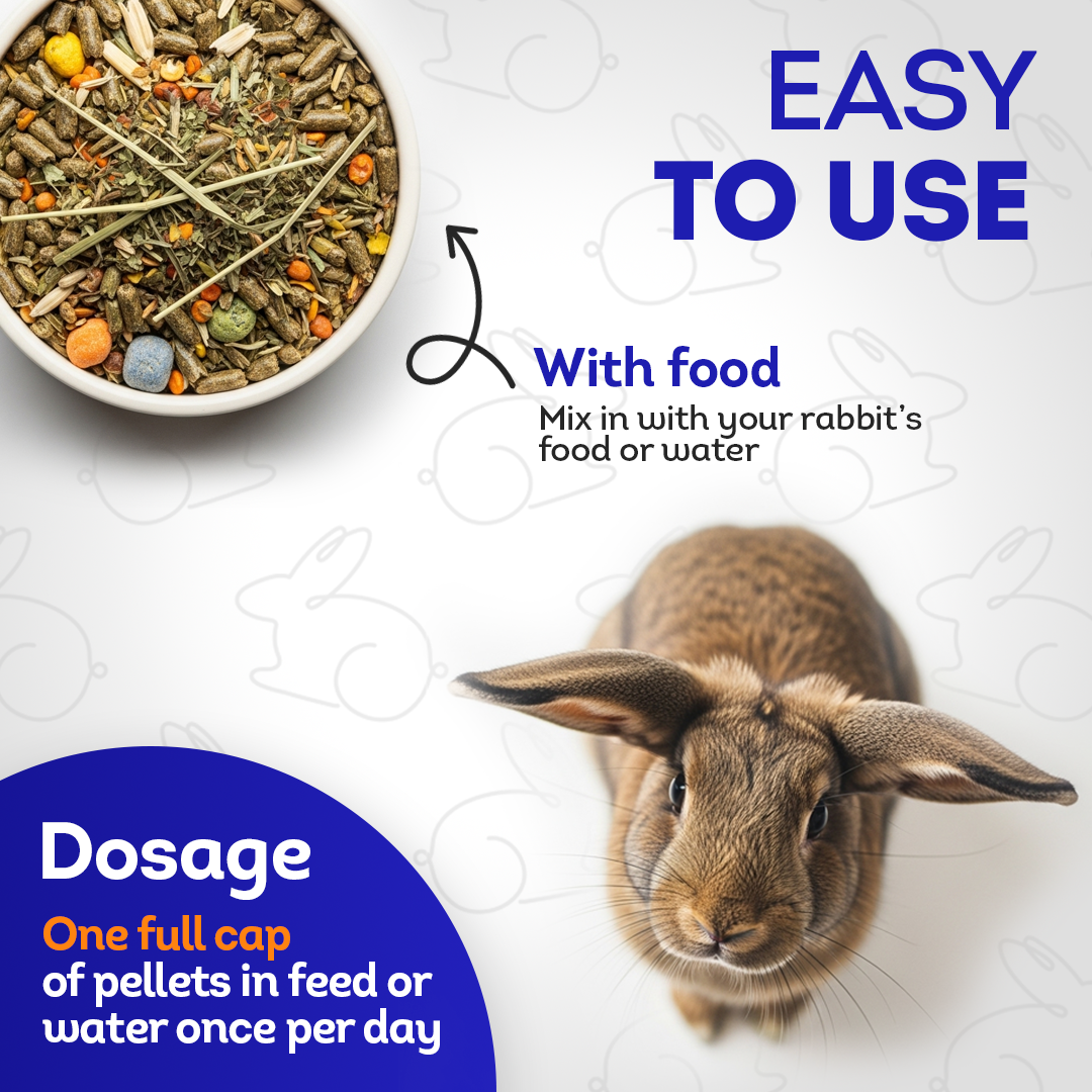 Respiratory Infection Remedy for Rabbits