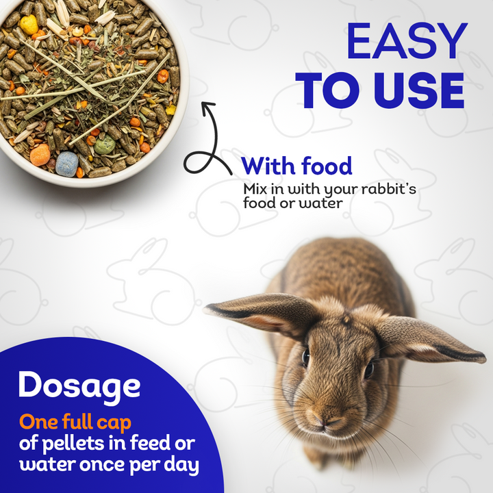 Respiratory Infection Remedy for Rabbits