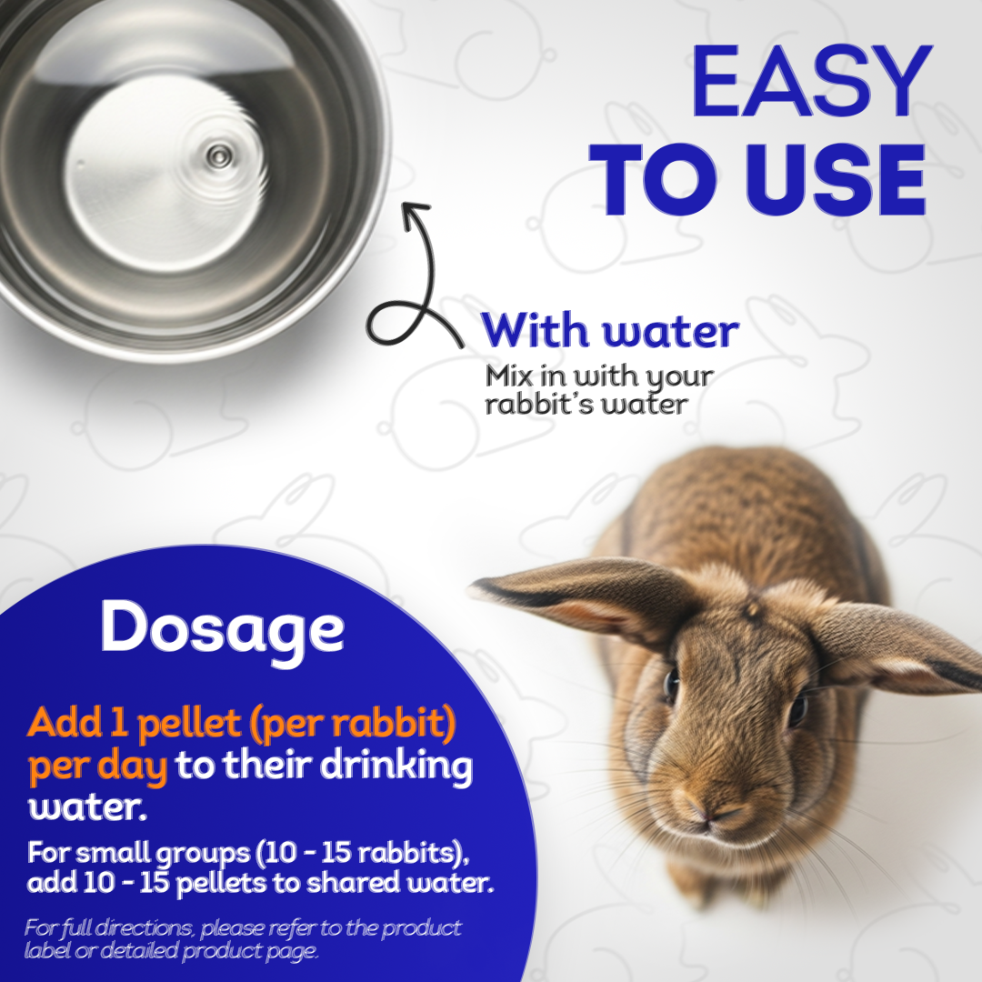 Gastrointestinal Stasis Relief for Rabbits