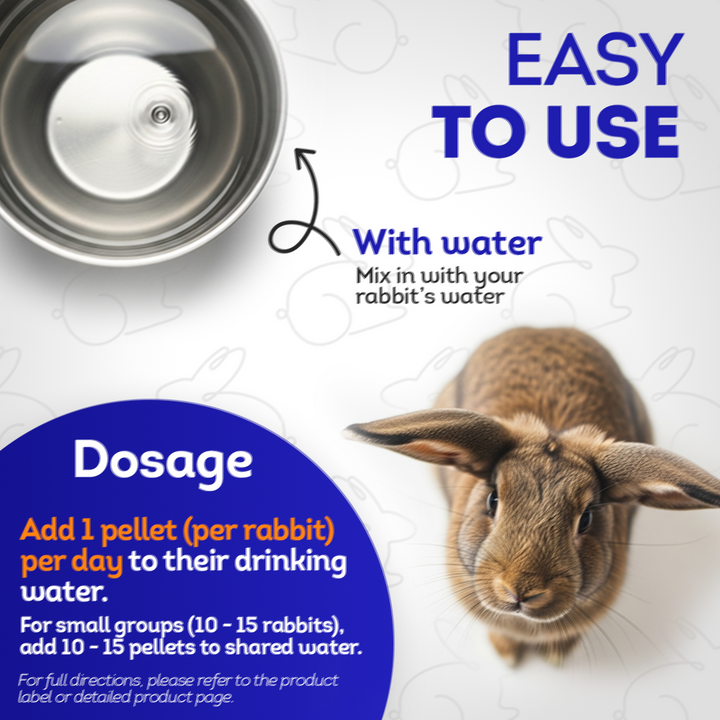 Gastrointestinal Stasis Relief for Rabbits