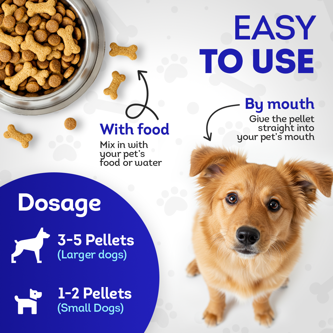 Mange Relief for Dogs - Treatment for Itchiness, Scabs, & Hair Loss Caused by Mites