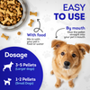 Mange Relief for Dogs - Treatment for Itchiness, Scabs, & Hair Loss Caused by Mites
