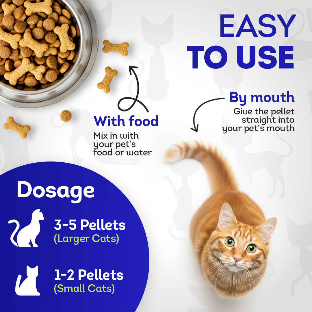 Oral Health Gum Healing Formula for Cats, 30-Day Supply