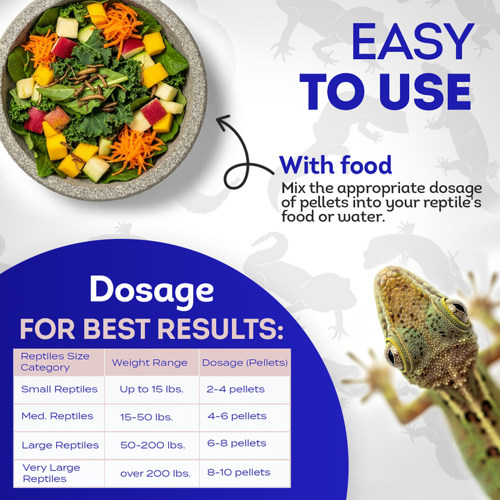 Reptile Oral Health: Natural Support for Mouth Rot