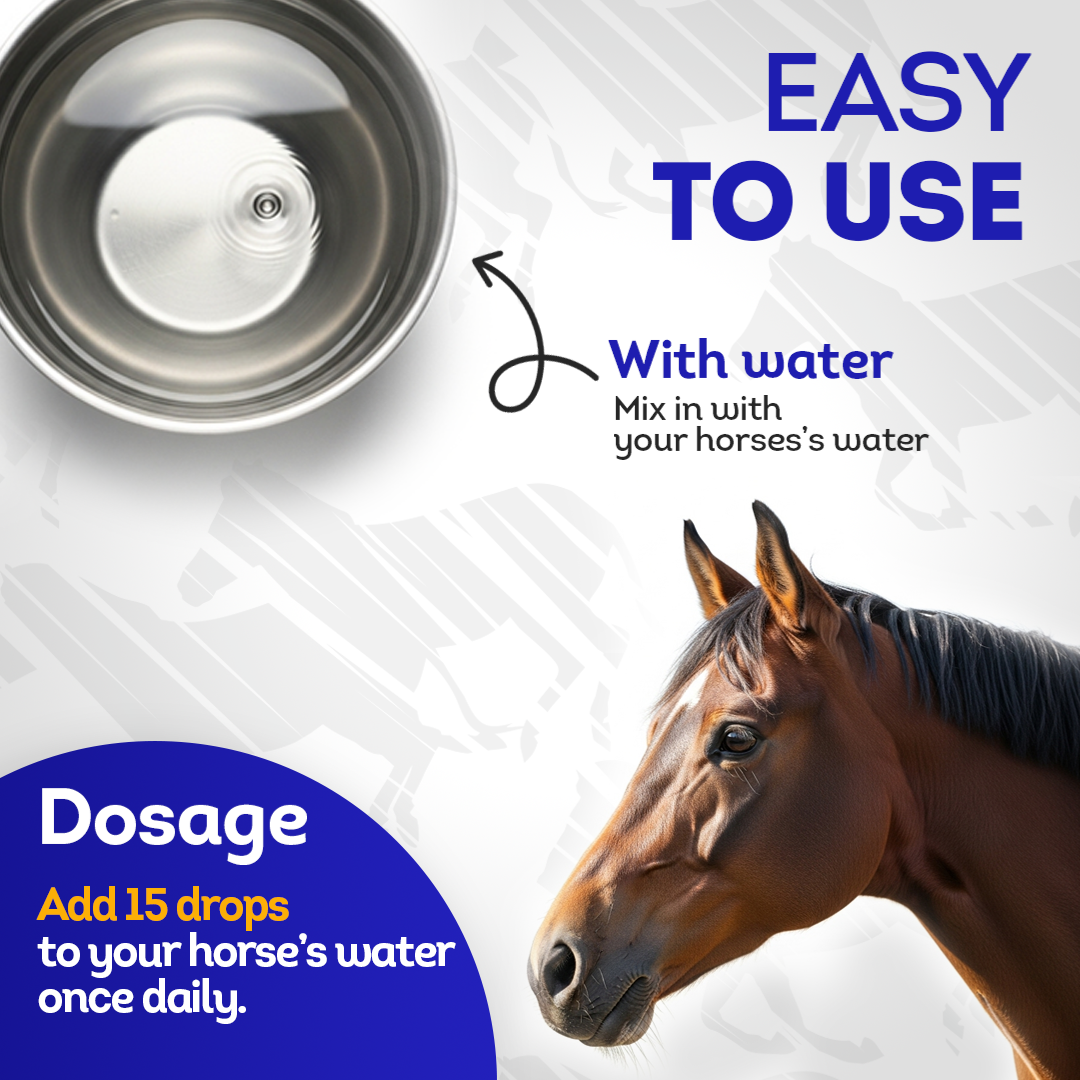 Horse Laminitis Support (Liquid)