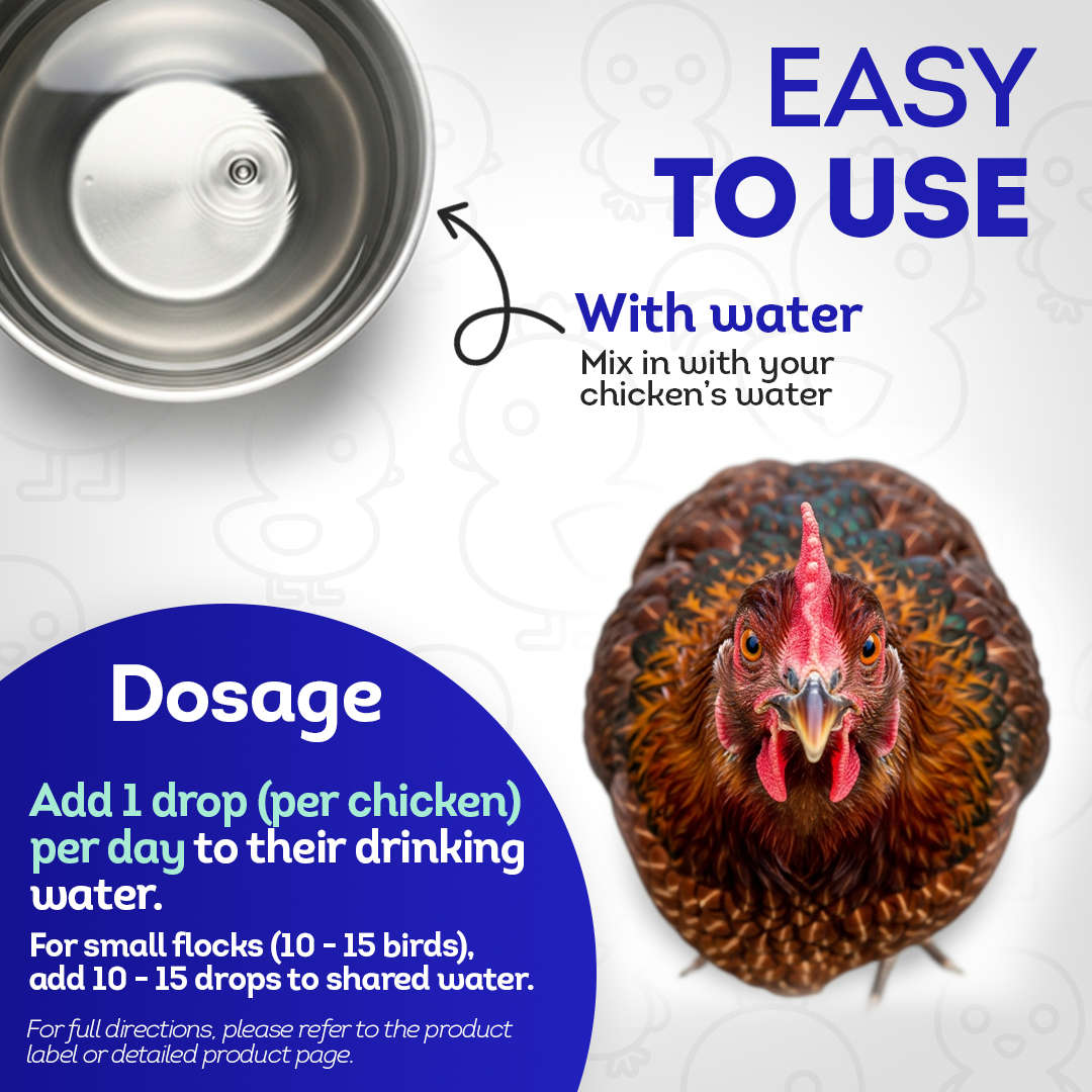 Chicken Respiratory Support (Liquid)