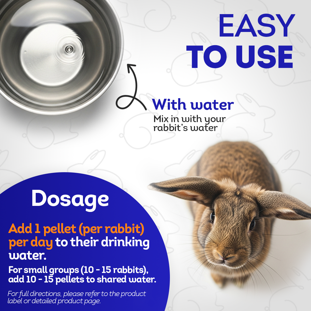 Skin Condition Remedy for Rabbits