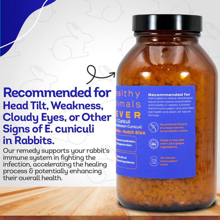Rabbit E. Cuniculi Infection Treatment - Natural, Homeopathic Support for Prevention & Immunity Boost - Tablets, Big Jar