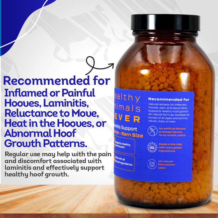 Horse Laminitis Support - Hoof Care for Damaged & Injured Hooves - Highly Effective, Natural Homeopathic Supplement - Tablets, Big Jar