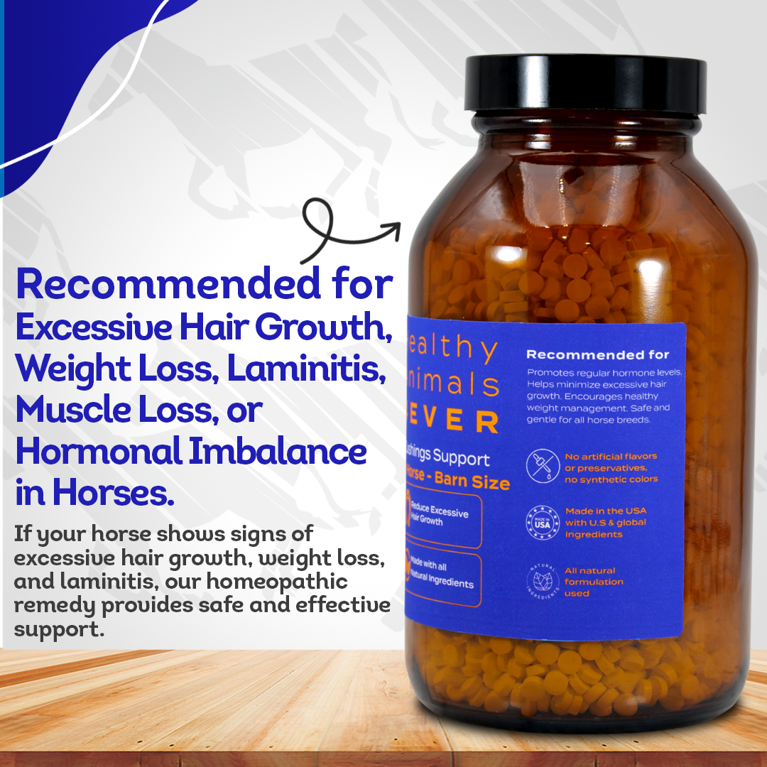 Horse Digestive Support for Cushing’s Disease - Preventative Care - Highly Effective, Natural Homeopathic Supplement - Tablets, Big Jar