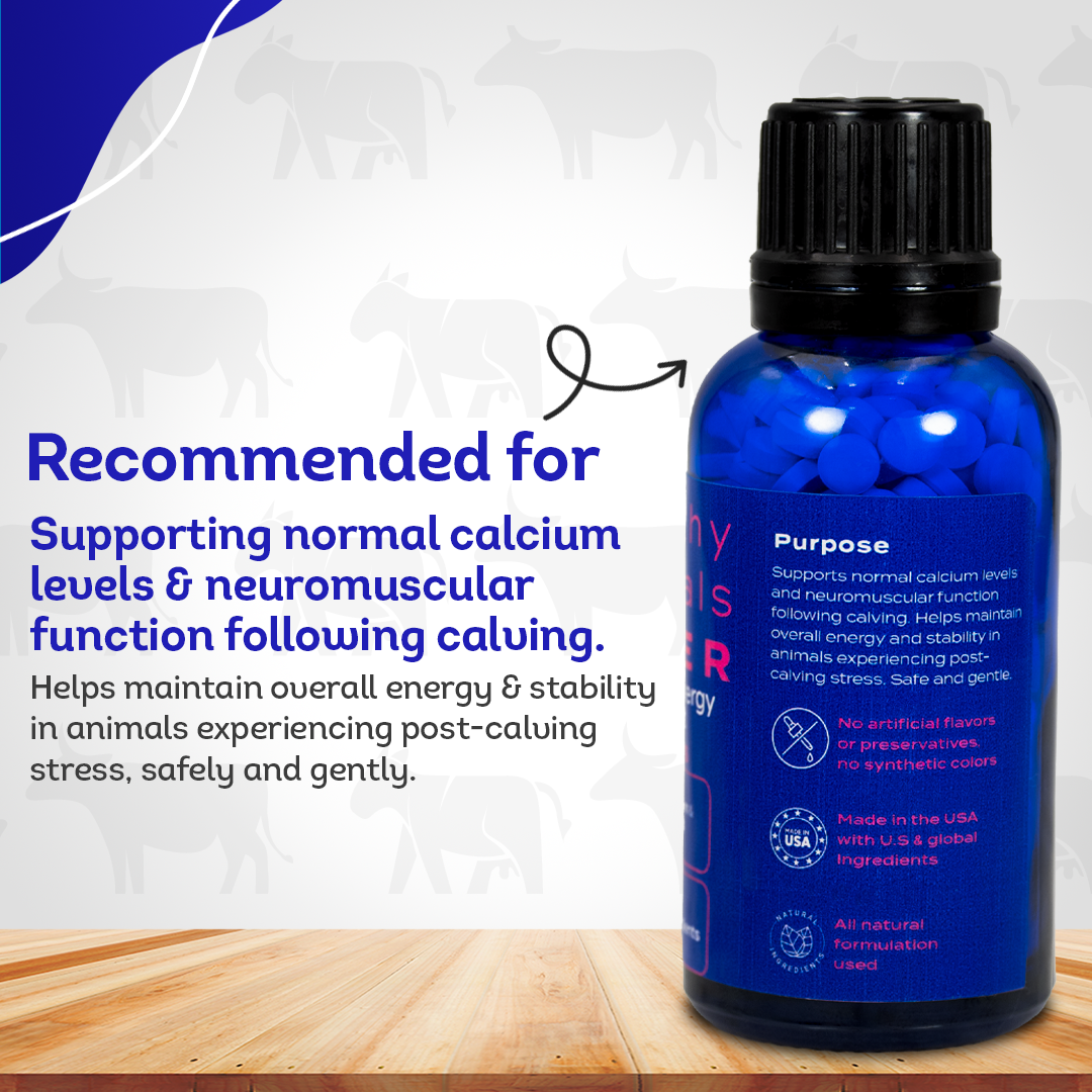 Cattle Milk Fever Support - Boosts Calcium & Energy Levels and Promotes Vitality & Alertness - All-Natural, Homeopathic Formula - 300+ Tablets
