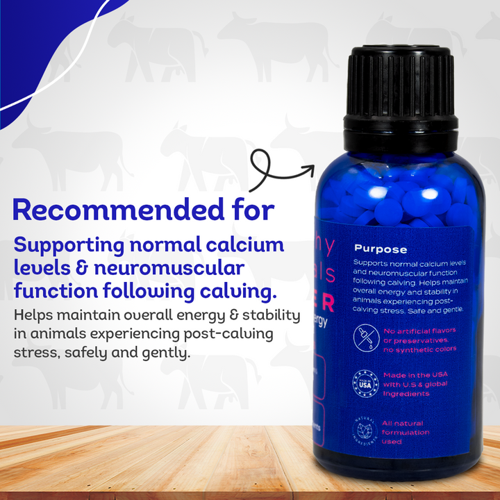 Cattle Milk Fever Support - Boosts Calcium & Energy Levels and Promotes Vitality & Alertness - All-Natural, Homeopathic Formula - 300+ Tablets