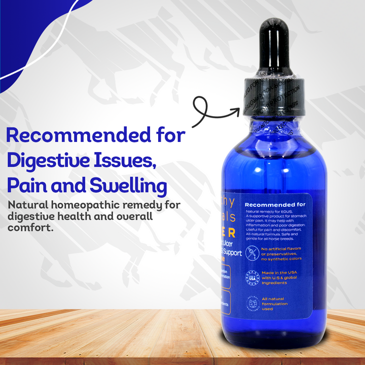 Equine Gastric Ulcer Syndrome Support (Liquid)