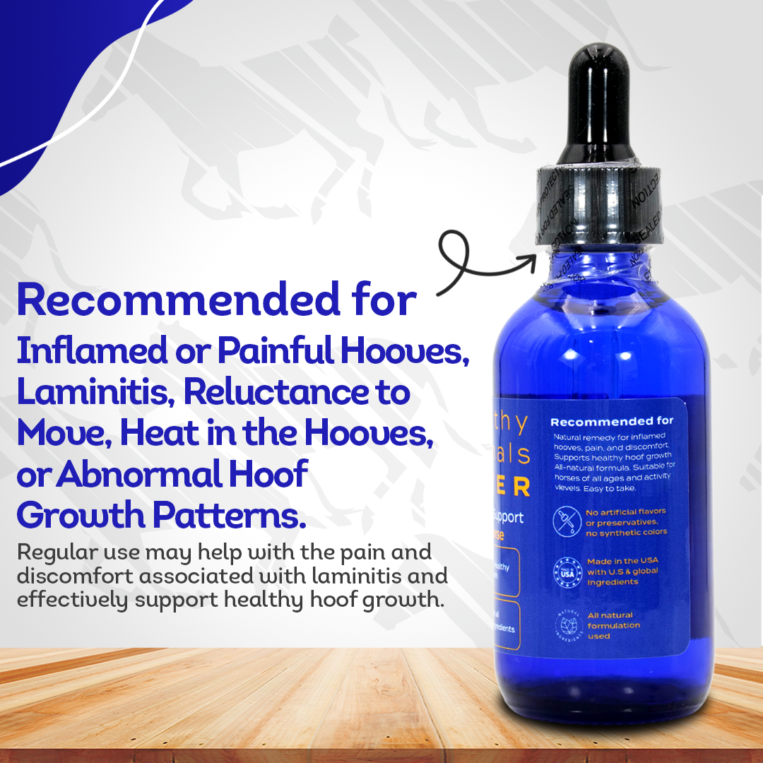 Horse Laminitis Support (Liquid)