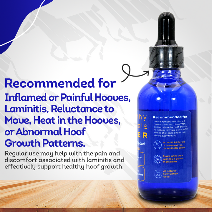 Horse Laminitis Support (Liquid)