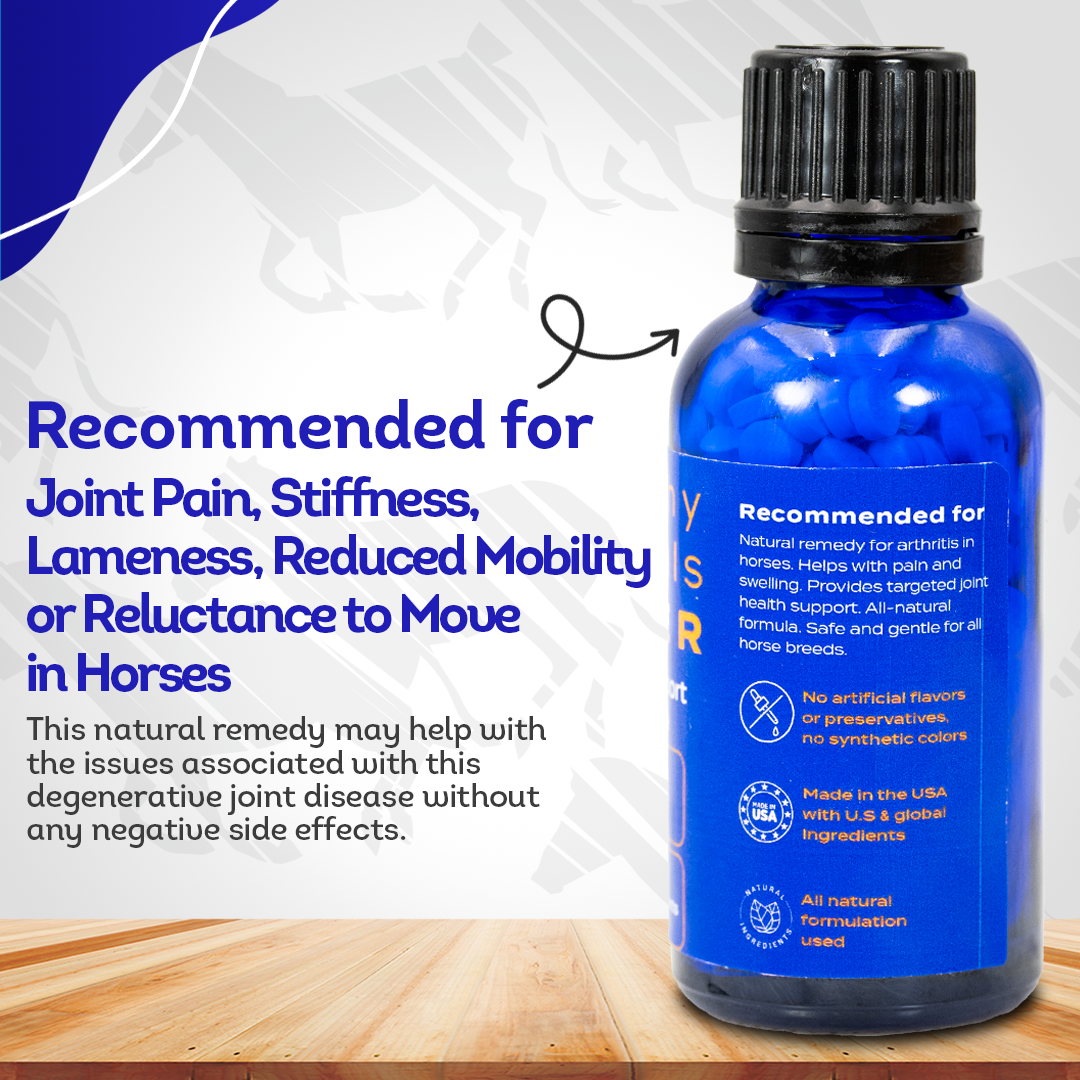 Horse Arthritis Support
