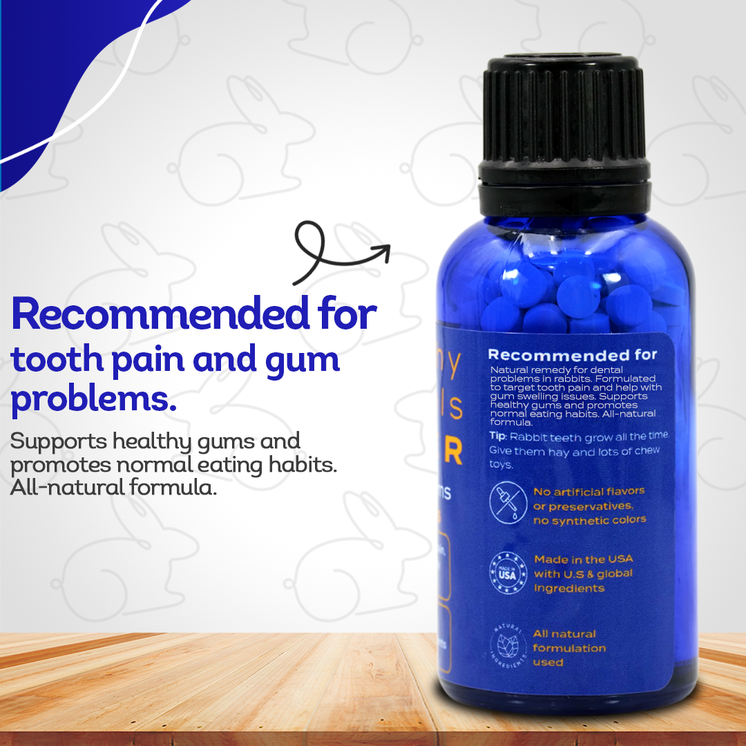 Dental Problems Remedy for Rabbits