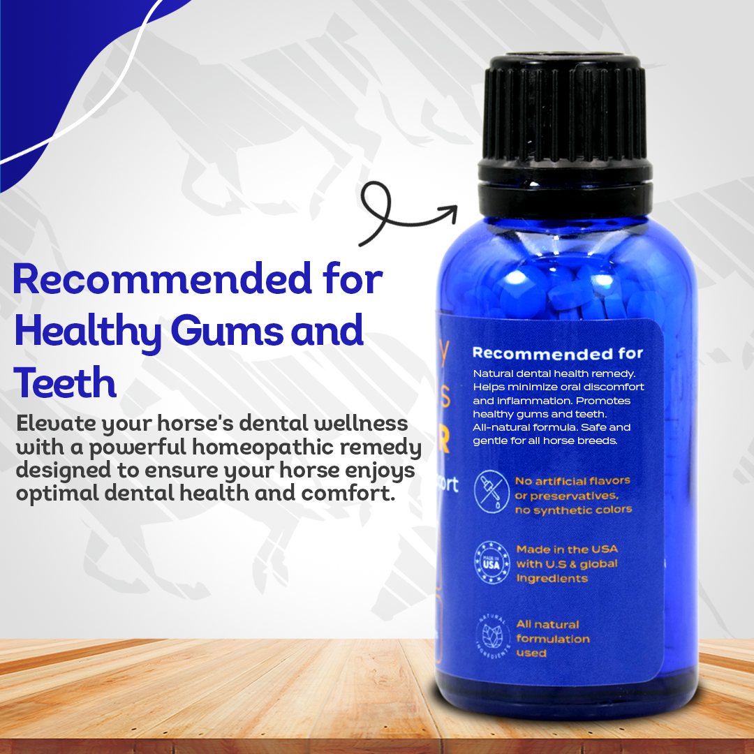 Horse Dental Issues Support