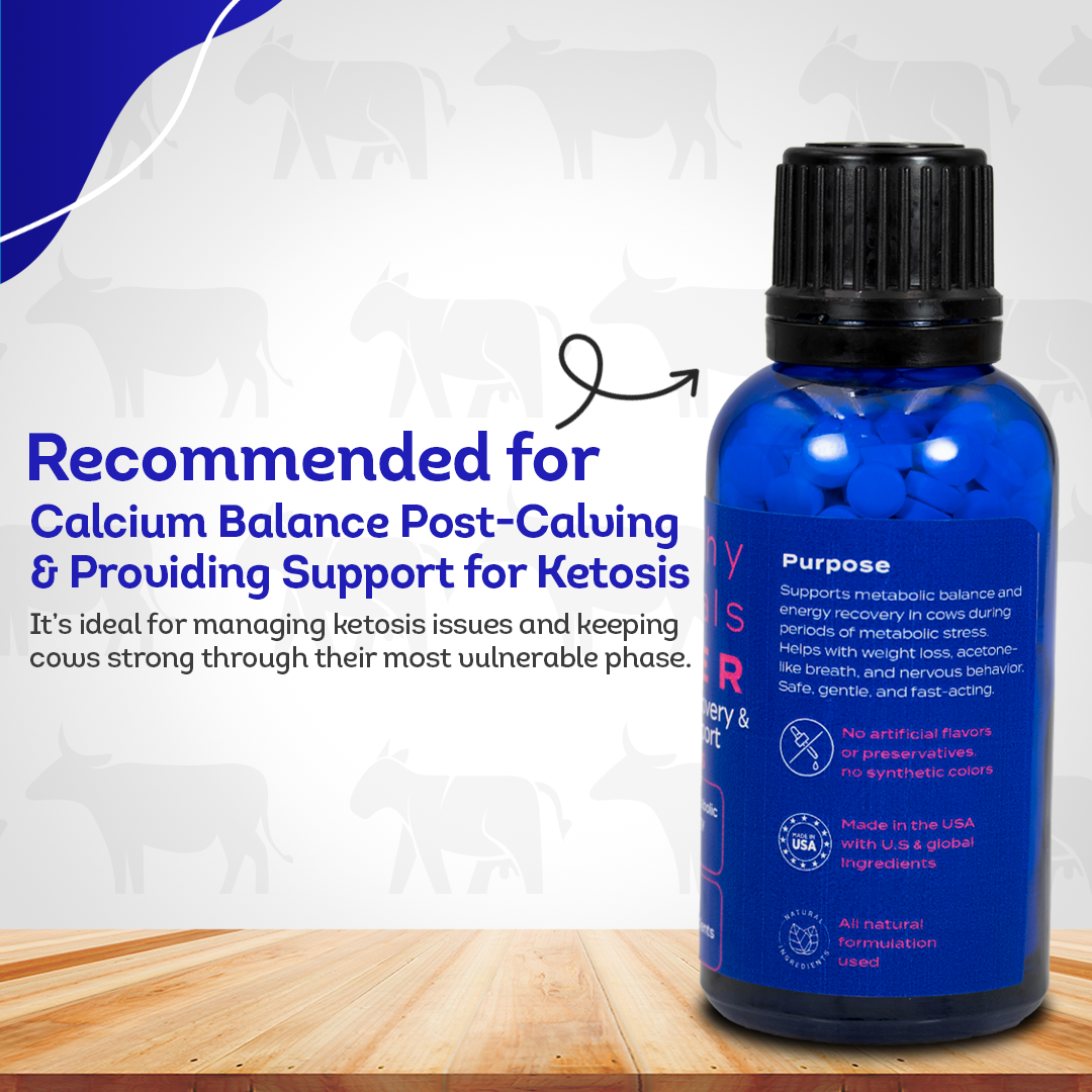 Ketosis Relief & Metabolic Support for Cows