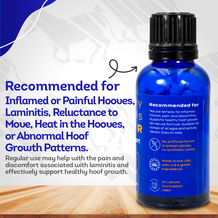 Horse Laminitis Support - Hoof Care for Damaged & Injured Hooves - Highly Effective, Natural Homeopathic Supplement - 300 Tablets