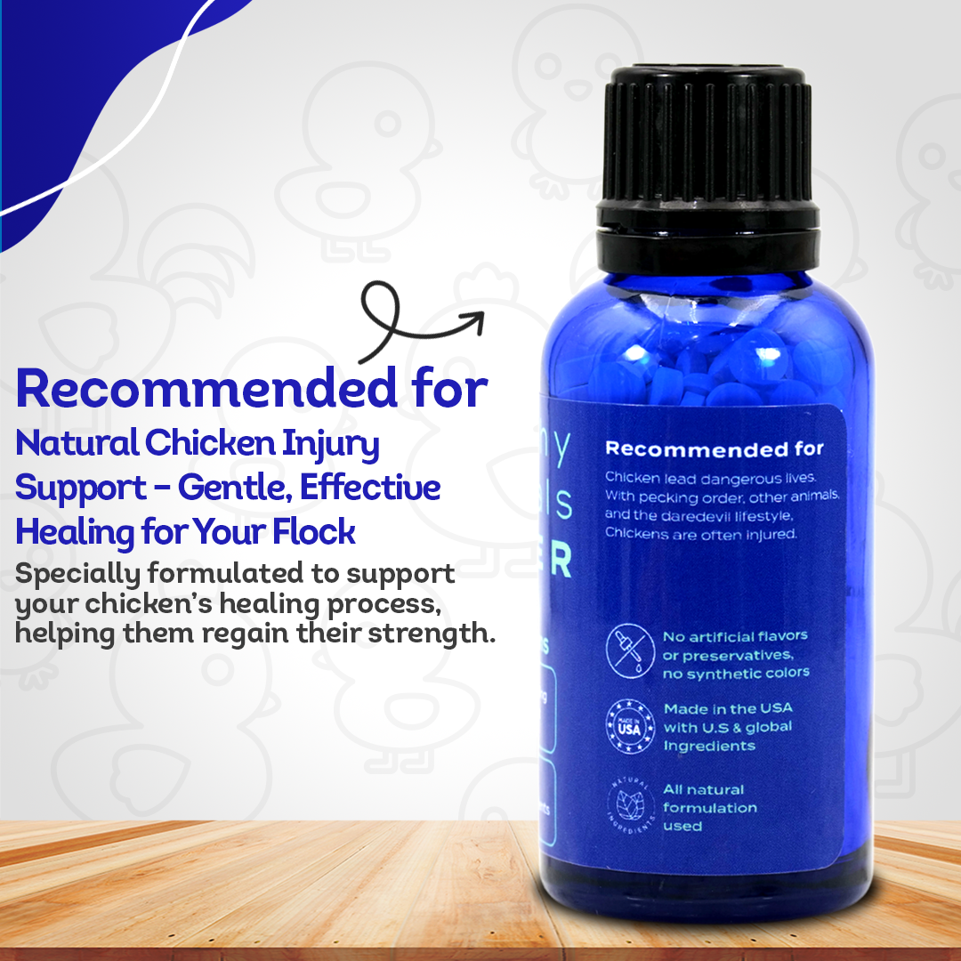 Chicken Injury Supplement - Supports Recovery from Accidents & Injuries - Highly Effective, Natural Homeopathic Tablets - 300 Pellets