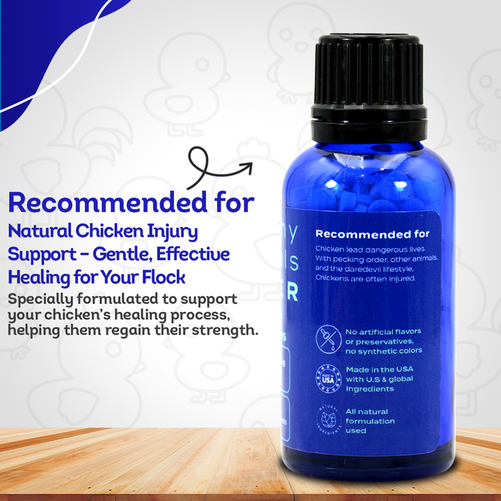 Chicken Injury Supplement - Supports Recovery from Accidents & Injuries - Highly Effective, Natural Homeopathic Tablets - 300 Pellets