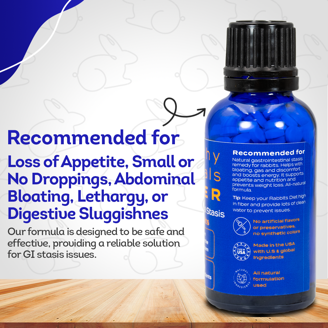 Gastrointestinal Stasis Relief for Rabbits