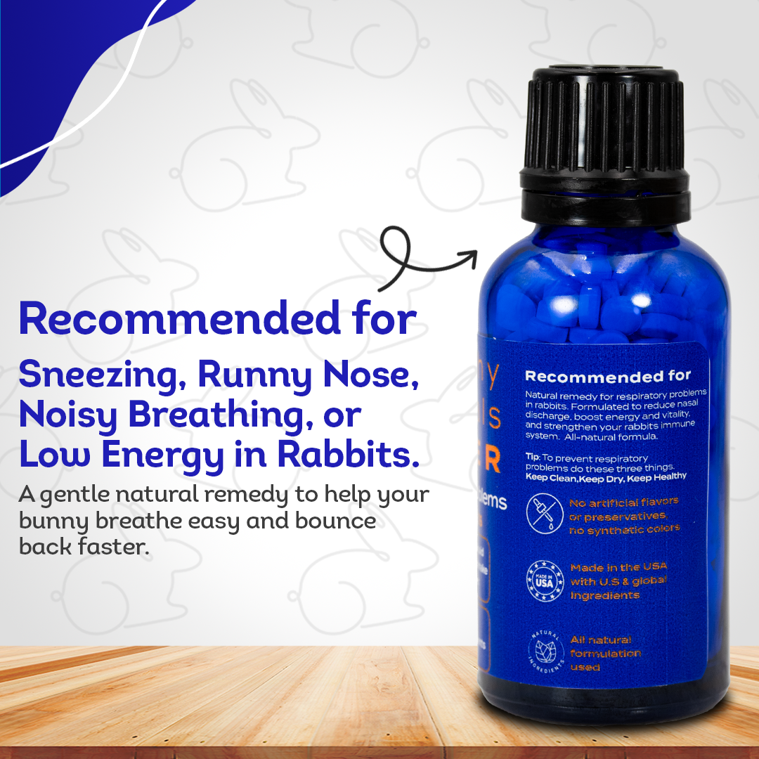 Respiratory Infection Remedy for Rabbits