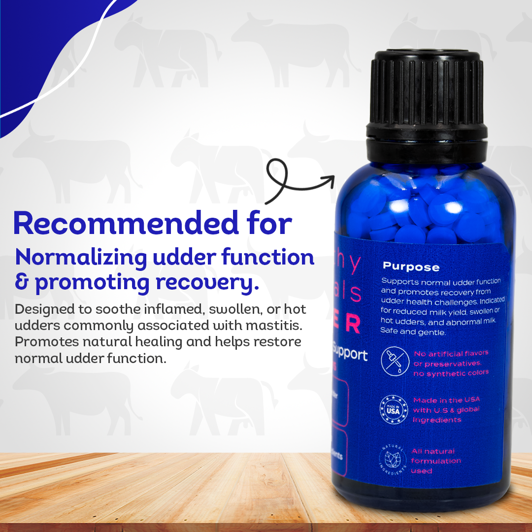 Mastitis Recovery Supplement - Udder Health Support for Cows
