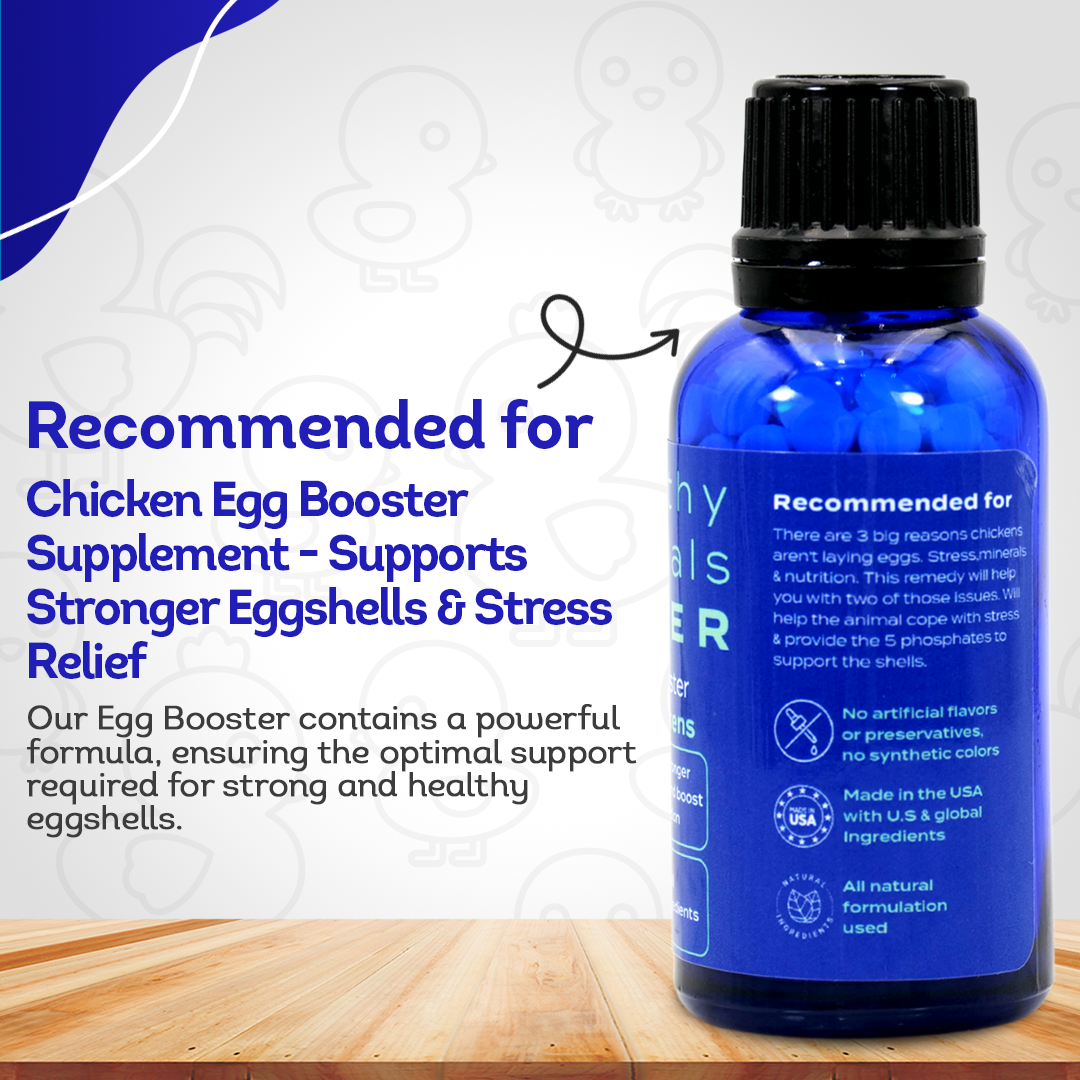 Chicken Egg Booster Supplement - Supports Stronger Eggshells & Stress Relief - Highly Effective Homeopathic Formula - Natural Egg Strengthening Tablets - 300 Count