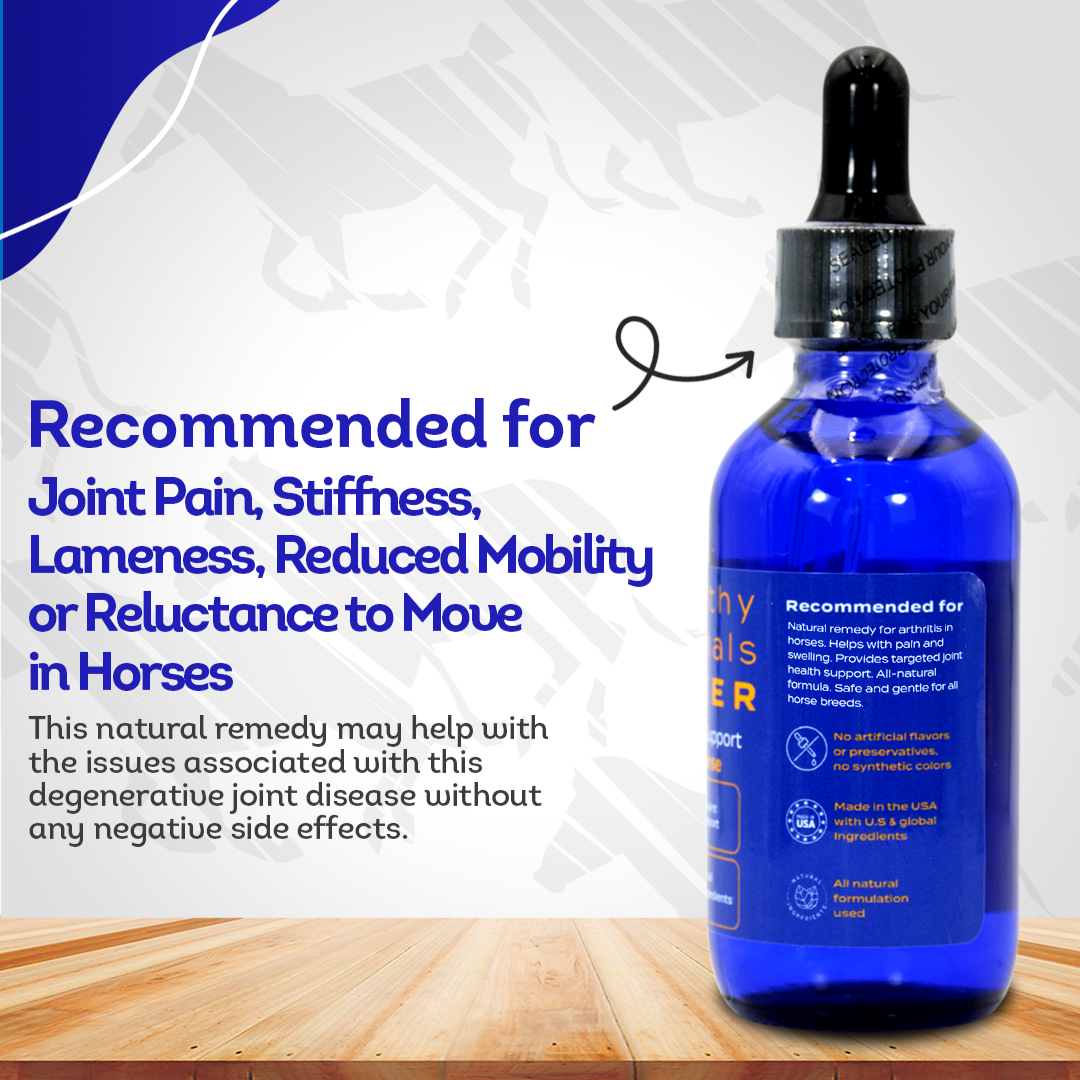 Horse Arthritis Support (Liquid)