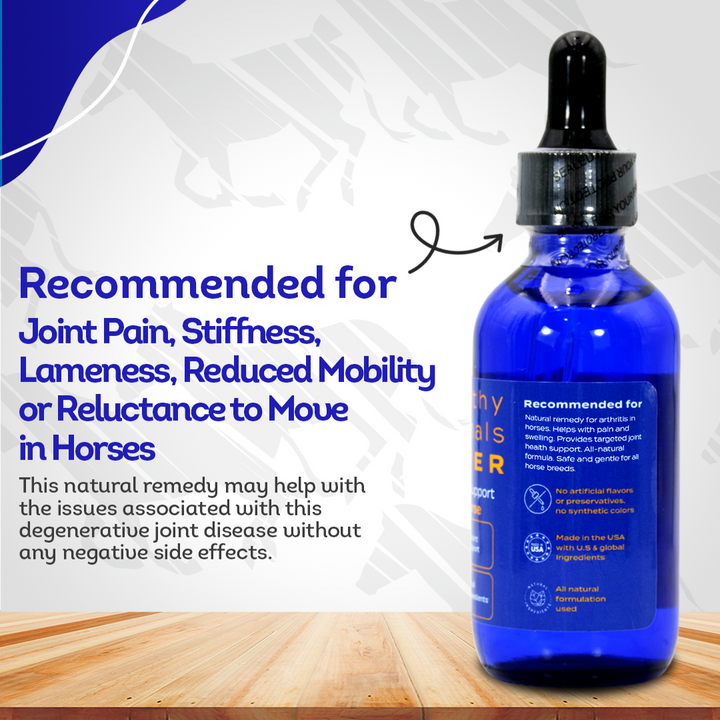 Horse Arthritis Support (Liquid)