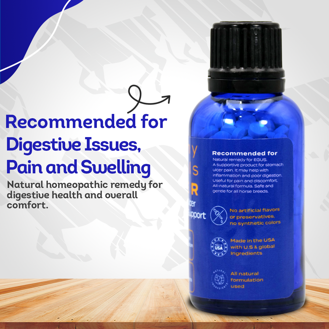 Equine Gastric Ulcer Syndrome Support