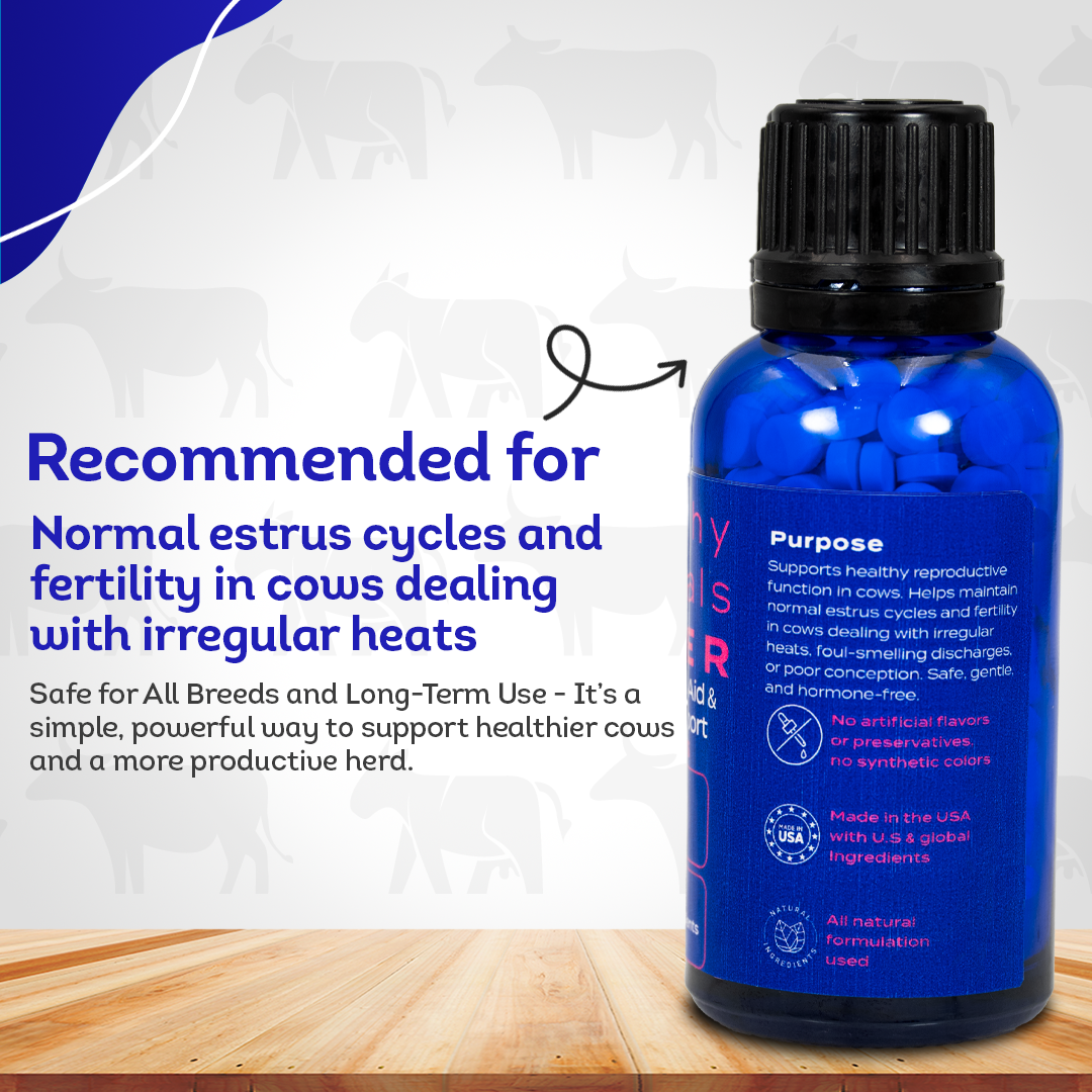 Cow Reproductive Aid & Fertility Support