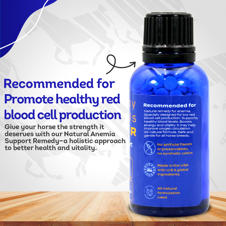 Horse Anemia Support