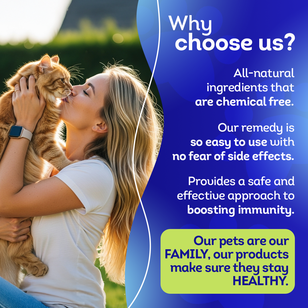 Cat Oral Health - Relieves Inflammation, Soothes Pain & Fights Gum Disease - Natural, Non-GMO, Organic, Gluten-Free & Chemical-Free - Tablets, Big Jar