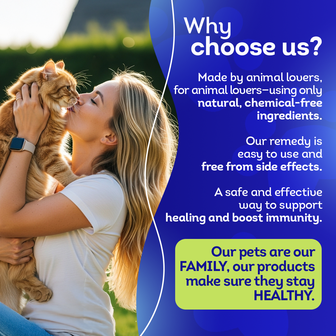 Oral Health Gum Healing Formula for Cats, 30-Day Supply