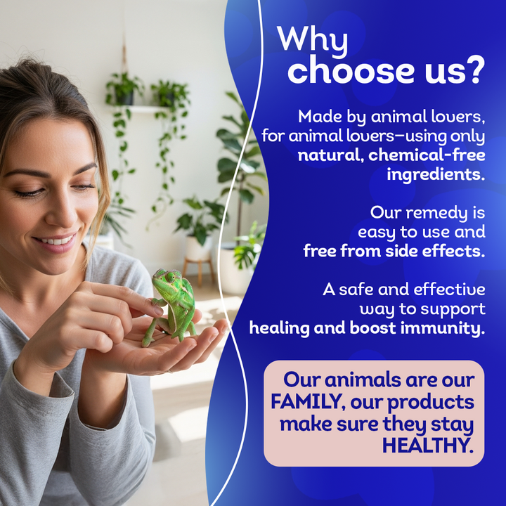 Reptile Oral Health: Natural Support for Mouth Rot