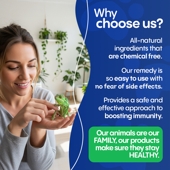 Reptile Shell Care - Natural Support for Shell Rot, Tissue Repair & Healthy Shell Growth - Safe Homeopathic Formula - 300 Tablets