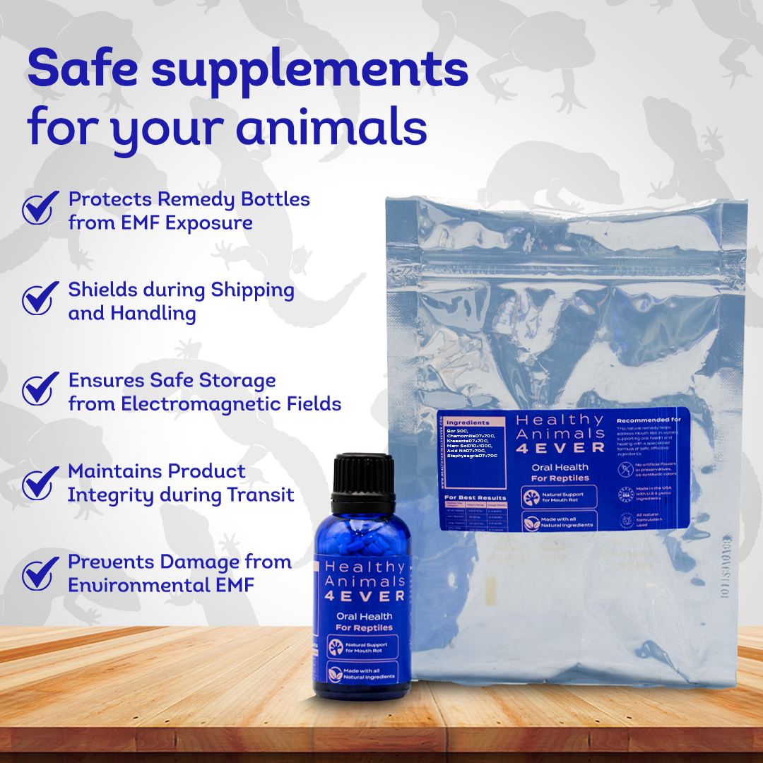 Reptile Oral Health: Natural Support for Mouth Rot