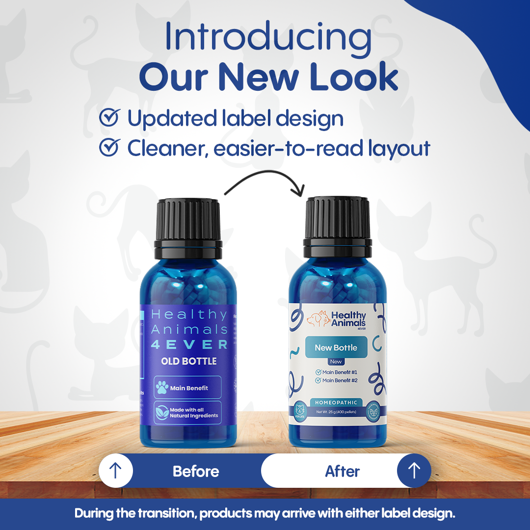 Natural Hyperthyroidism Support Formula for Cats