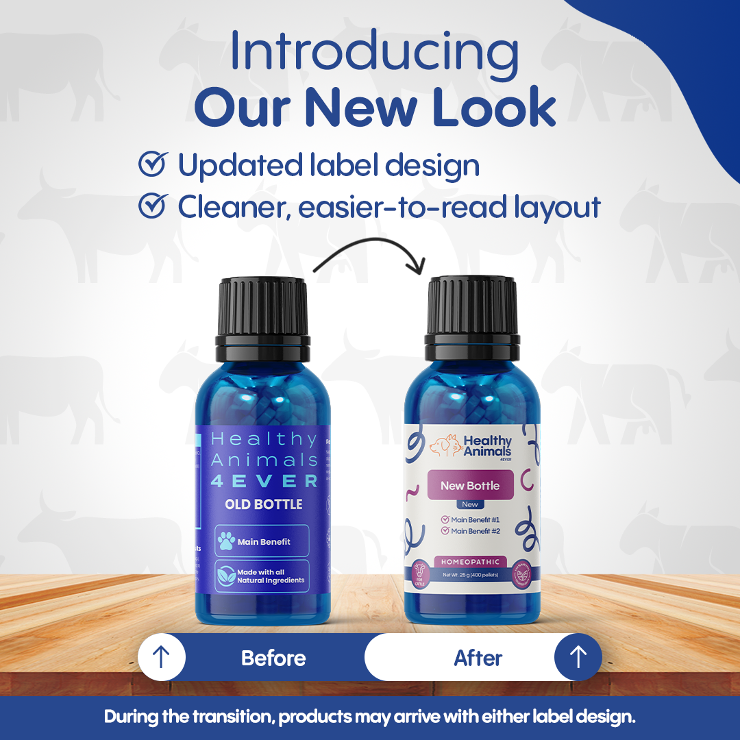 Cattle Respiratory Relief & Immune Support