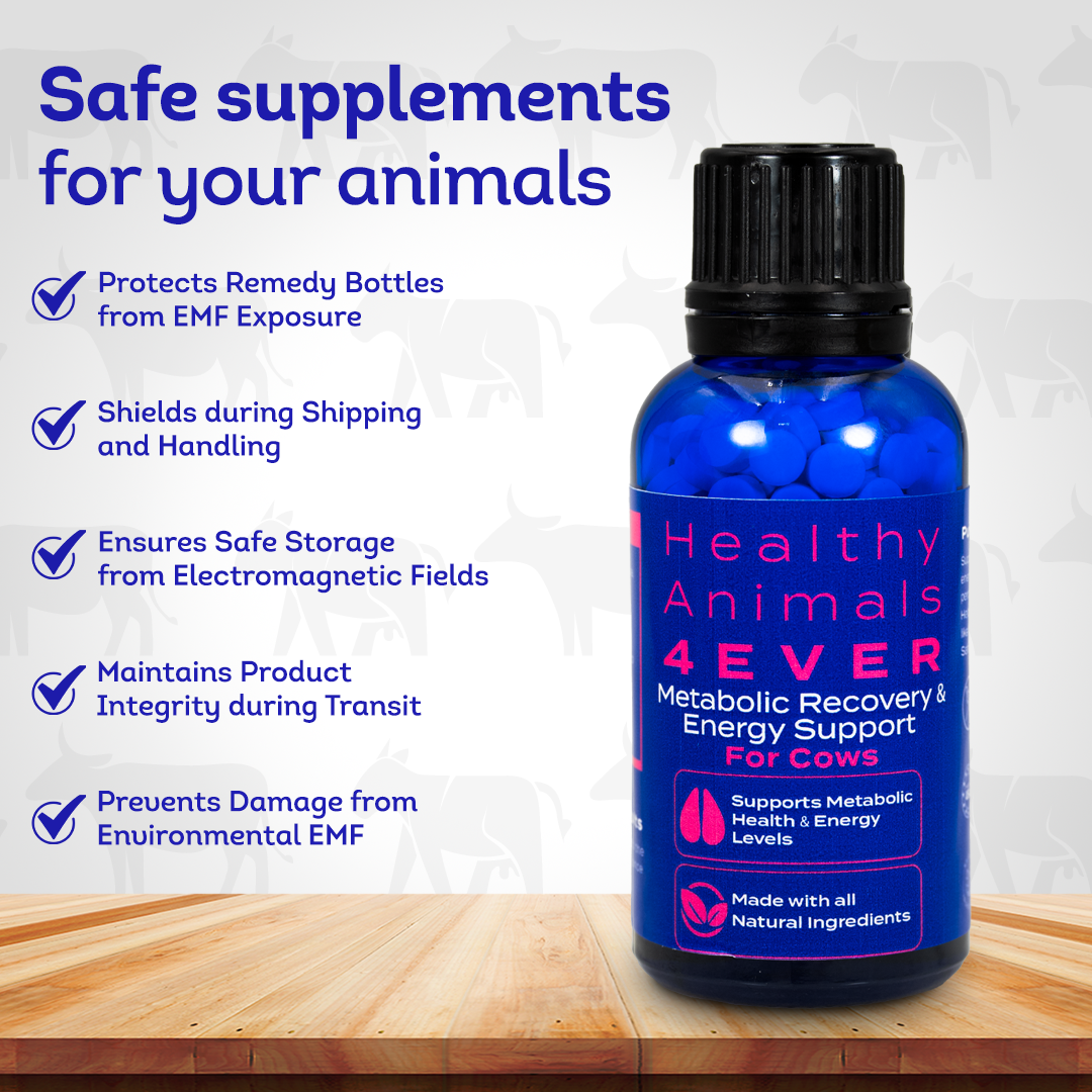Ketosis Relief & Metabolic Support for Cows