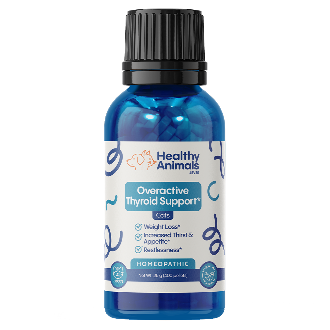 Natural Hyperthyroidism Support Formula for Cats