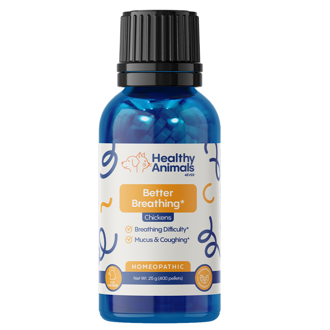 Chicken Respiratory Support Supplement